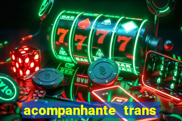 acompanhante trans baixada fluminense